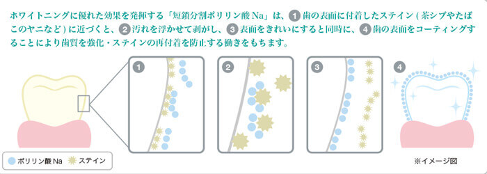 このような方にお勧め